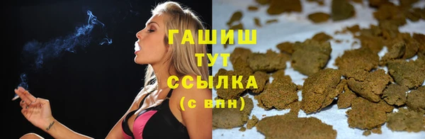 сатива Алзамай