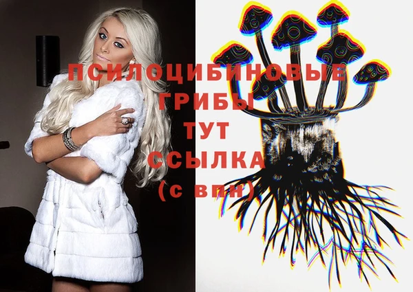 сатива Алзамай