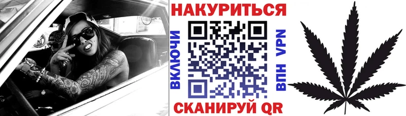 mega tor  Фурманов  Канабис сатива 